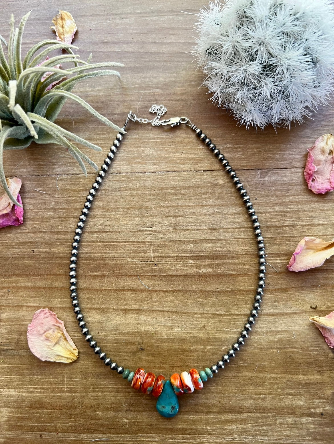 14” Spiny w/ Turquoise